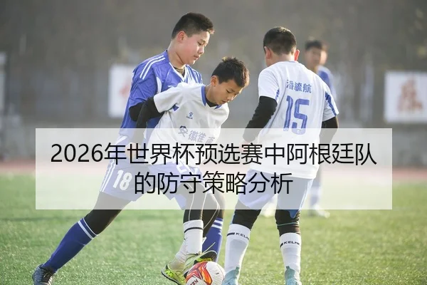 2026年世界杯预选赛中阿根廷队的防守策略分析