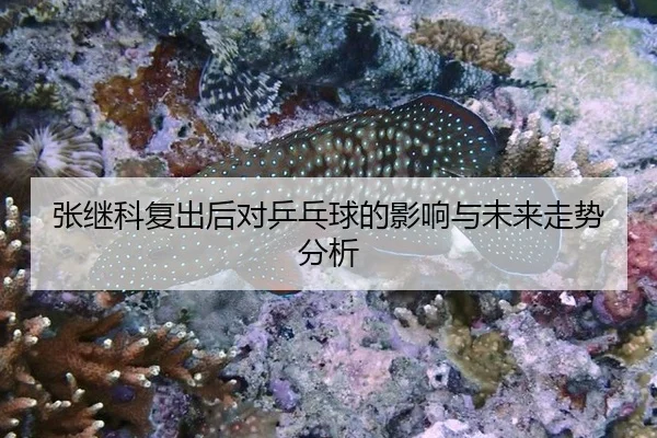 张继科复出后对乒乓球的影响与未来走势分析