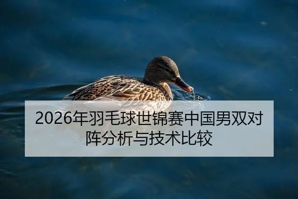 2026年羽毛球世锦赛中国男双对阵分析与技术比较