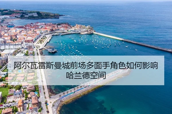 a-er-wa-lei-si-man-cheng-qian-chang-duo-mian-shou-jue-se-ru-he-ying-xiang-ha-lan-de-kong-jian-3-175.jpg